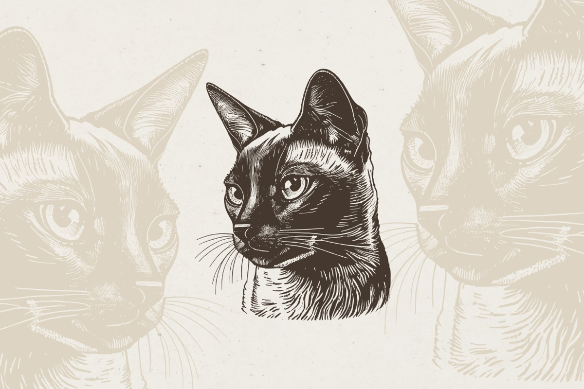 Cat Breeds Portrait Illustrations, an Animal Illustration by Nocturnal Wolf (Photo 6 of 10)
