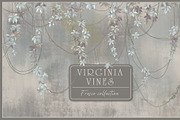 Fresco collection Virginia vines, a Wallpaper Graphic by Natalia0307 (Thumbnail 1 of 22)