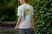 Cute Bird Clipart, an Animal Illustration by Forhadx5 (Thumbnail 11 of 11)