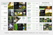 Forest- PowerPoint Template, a Presentation Template by Helga_Design (Thumbnail 6 of 11)