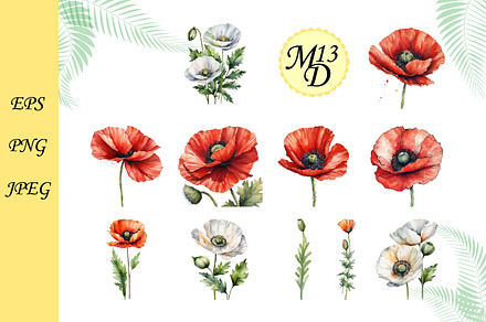 Set of 21 watercolor poppy flower