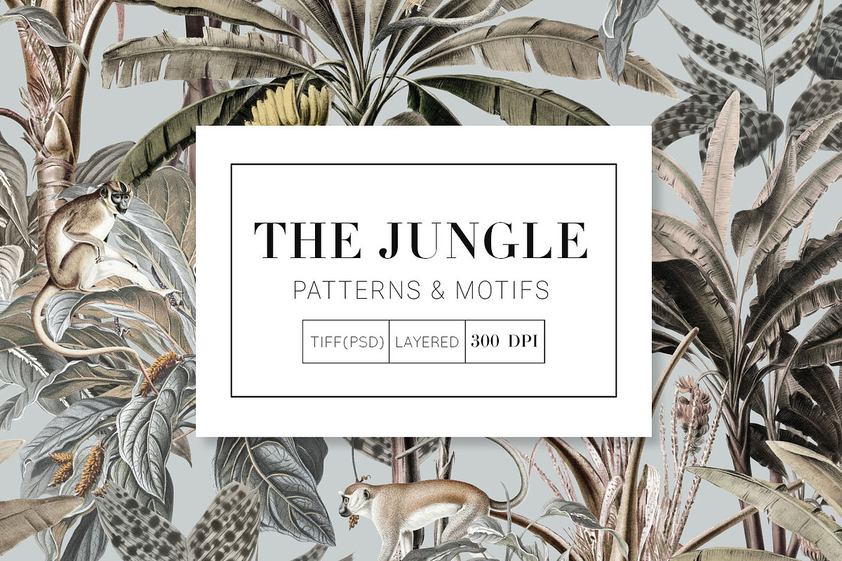 The Jungle, Exquisite Patterns, a Wallpaper Graphic by Pink Linen (Photo 2 of 10)