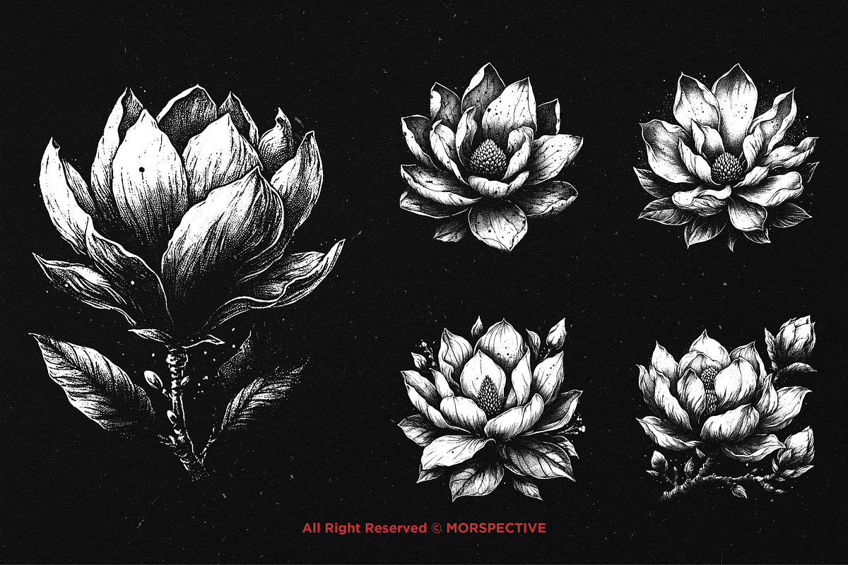 10 Bundle Dark Art Magnolia Flower, an Illustration by Morspective (Photo 5 of 7)