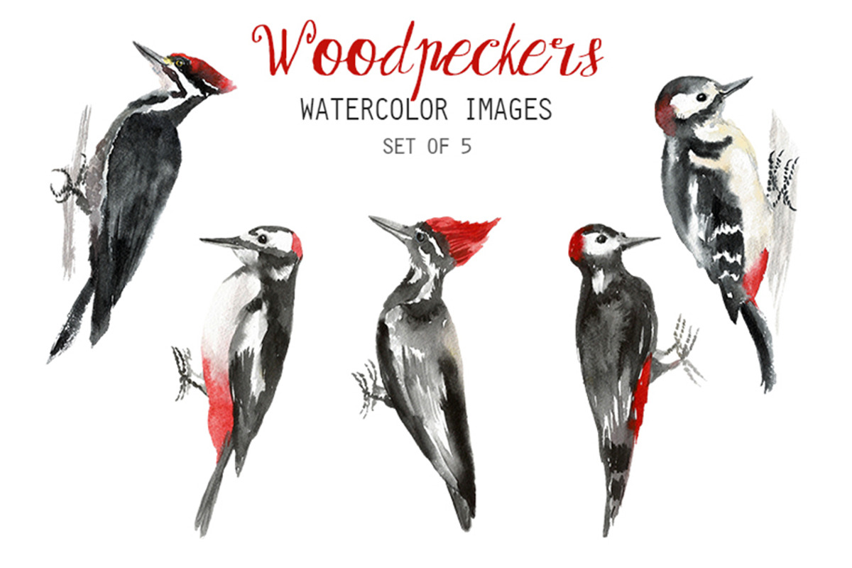Watercolor Woodpeckers Clipart, an Animal Illustration by YesFoxy