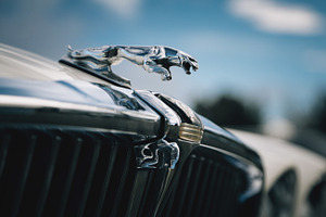 Jaguar Hood Ornament