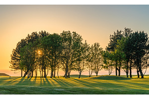 Sunrays penetrate through the trees containing sun, sunset, and nature, a Nature Photo by Leonid Andronov