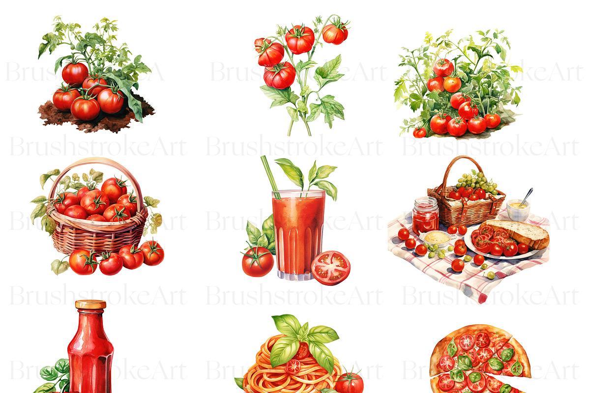 Watercolor Tomato Clipart, Vegetable, a Food Illustration by BrushstrokeArtGB (Photo 3 of 9)