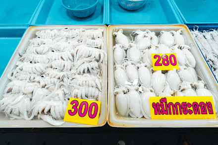 Fresh squid in trays for sale in the fish market, a Food & Drink Photo by Art Rachen