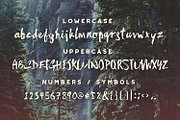 Sunfast, a Script Font by Greg Nicholls (Thumbnail 4 of 4)