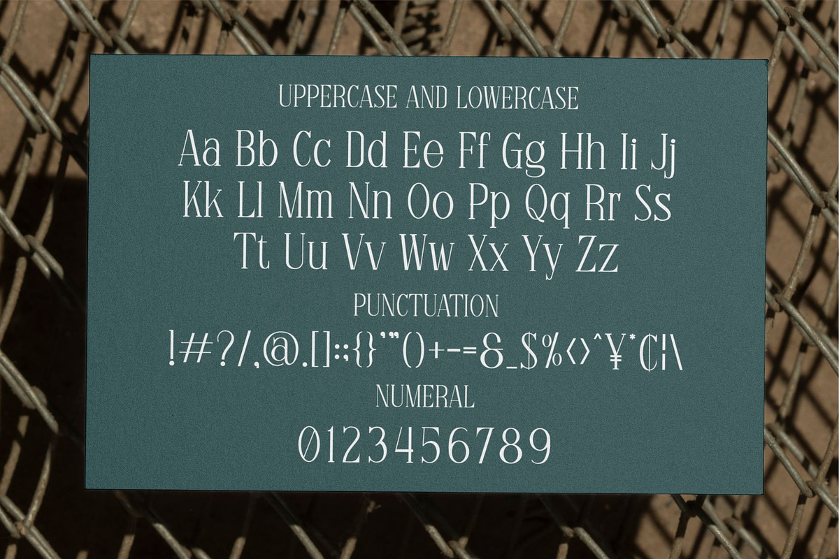 Felontin Partians || Modern Serif, a Serif Font by Idea Studio (Photo 5 of 5)