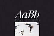 Baliths Serif, a Serif Font by Pista Mova (Thumbnail 13 of 23)