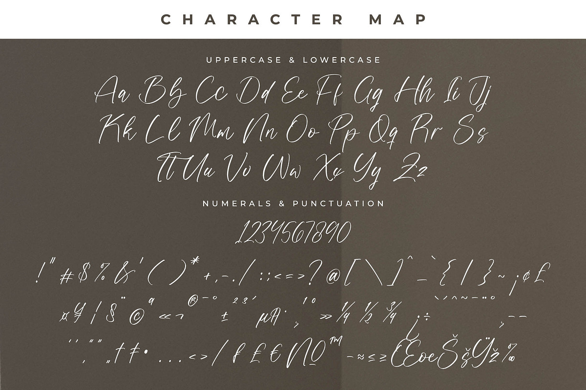 Prostlande Modern Handwritten Script, a Script Font by Letterena ...