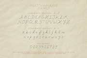 Meadow Lavande - Romantic Font, a Handwritten Font by nadispasibenko (Thumbnail 9 of 13)