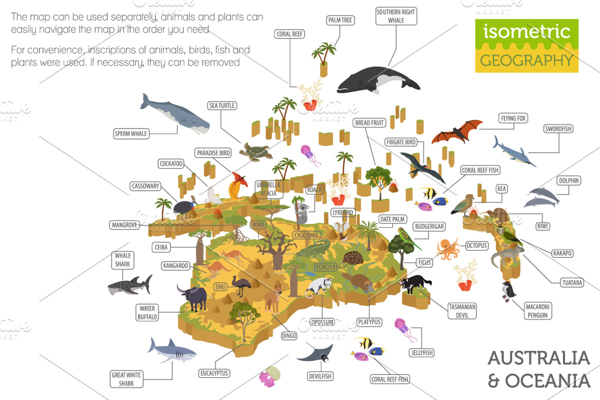 Australasia isometry flora&fauna map, an Animal Illustration by pet design shop (Photo 3 of 5)