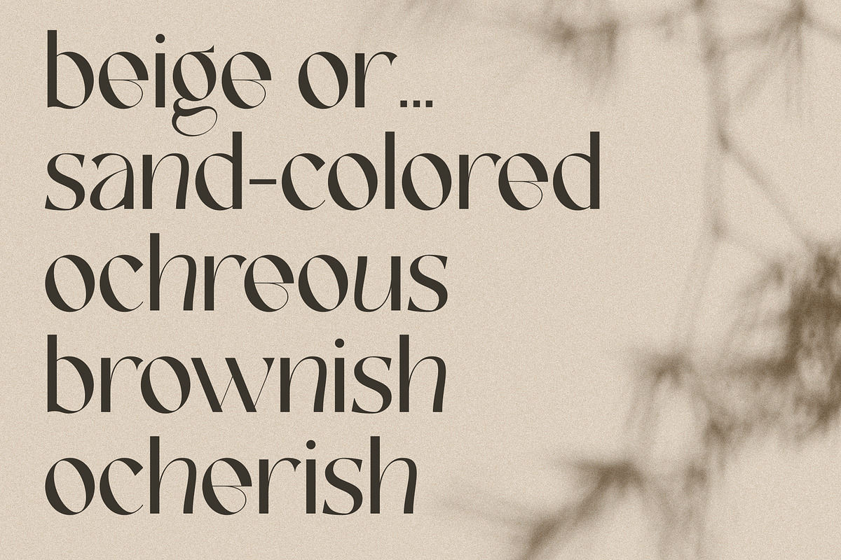 FRENCH CHATEAUX - Chic Display Font, a Sans Serif Font by SilverStag Type Foundry (Photo 21 of 22)