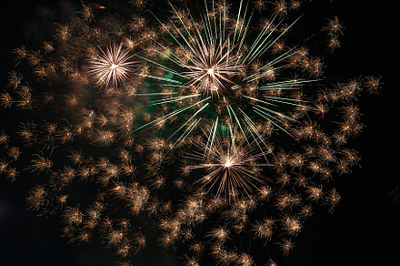 Fireworks at the summer party