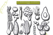 Hand Drawn Vegetables Illustrations, a Graphic by Hand drawn Boutique (Thumbnail 3 of 4)