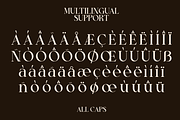 Prole Derose Font, a Serif Font by Marvadesign (Thumbnail 6 of 7)