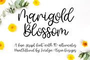 The 8 Fonts Bundle, a Script Font by Jordyn Alison Designs (Thumbnail 2 of 17)