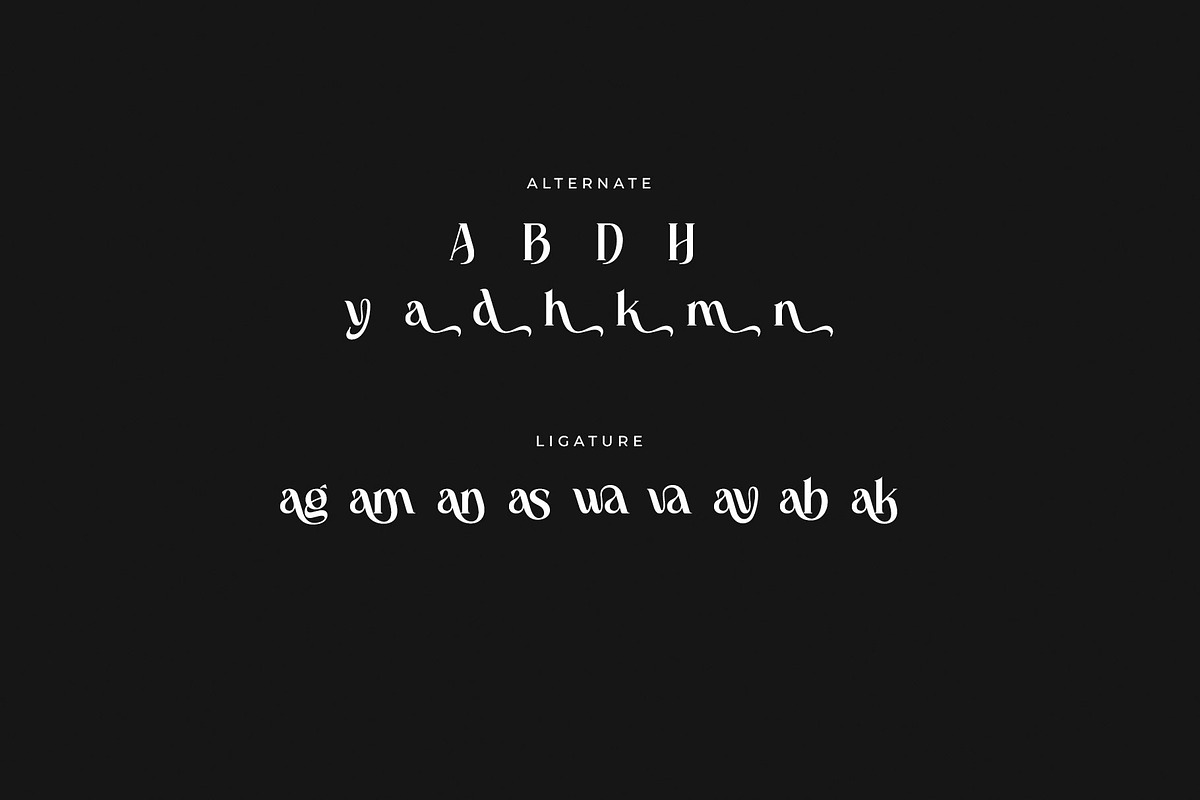 Baylish Modern Branding Serif Font, a Serif Font by RantautypeStudio (Photo 15 of 15)
