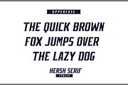 HERSH SERIF FONT FAMILY, a Serif Font by Alphabet Agency (Thumbnail 5 of 14)