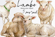 Watercolor lamb, sheep clipart, an Animal Illustration by yana.fefelova (Thumbnail 1 of 4)