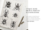 ENTOMOLOGY. Insects Vintage Pack., a Decorative Illustration by Chewie Co (Thumbnail 4 of 11)