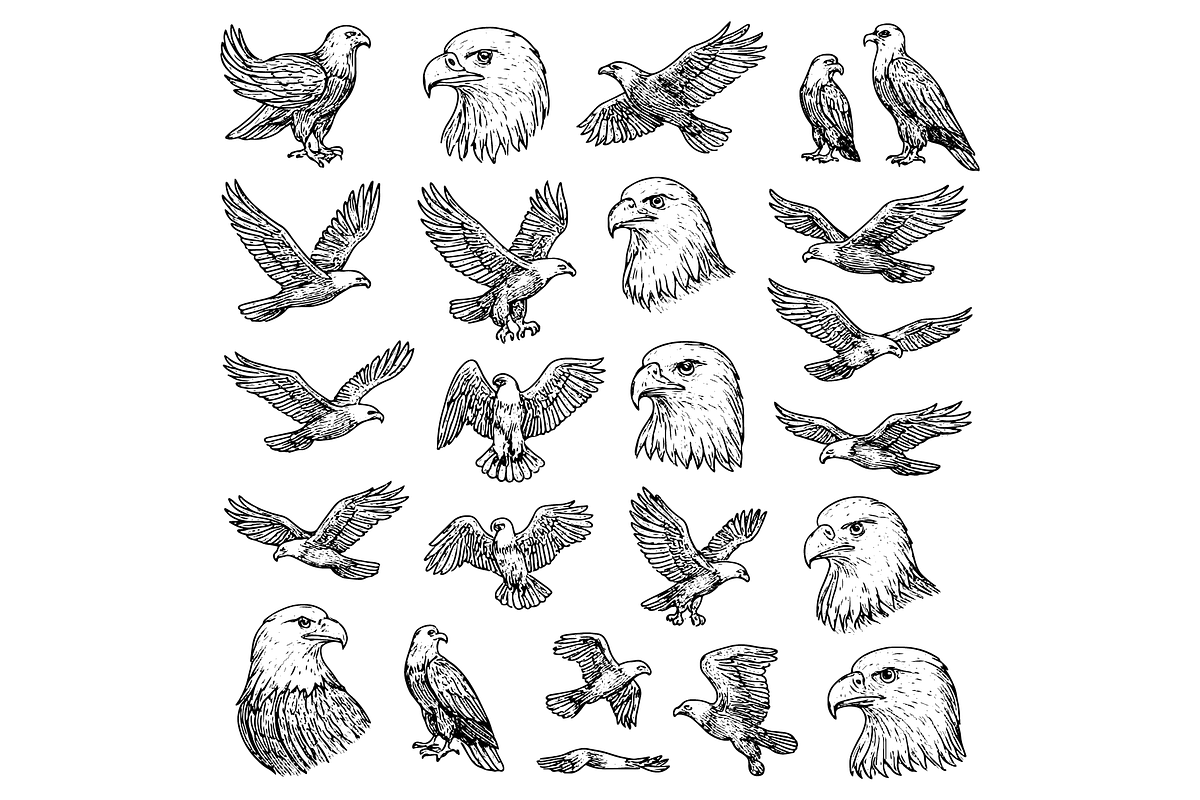 Eagle Collection, an Object Graphic by nikagraphic