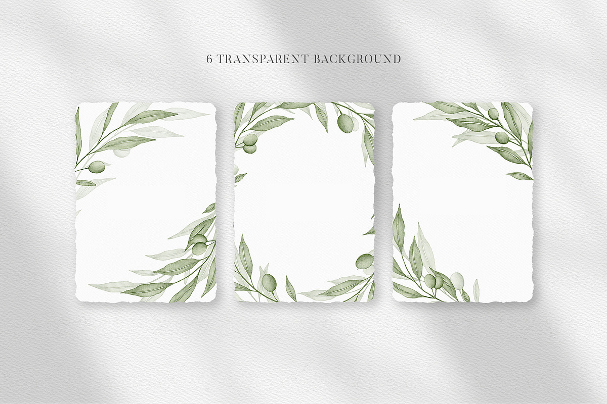 Watercolor Olive Branches Leaves, an Illustration by Creatchees.std (Photo 12 of 13)