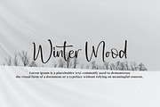 Woman Friend, a Script Font by Integritype Studio (Thumbnail 11 of 14)