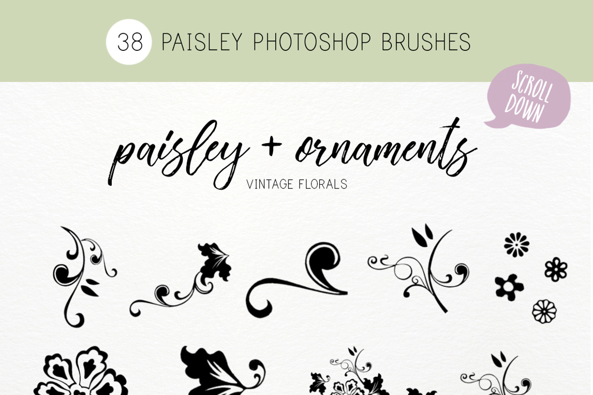 Perfect Paisley photoshop brushes, a Brush Add-On by Studio-Charlie (Photo 2 of 2)