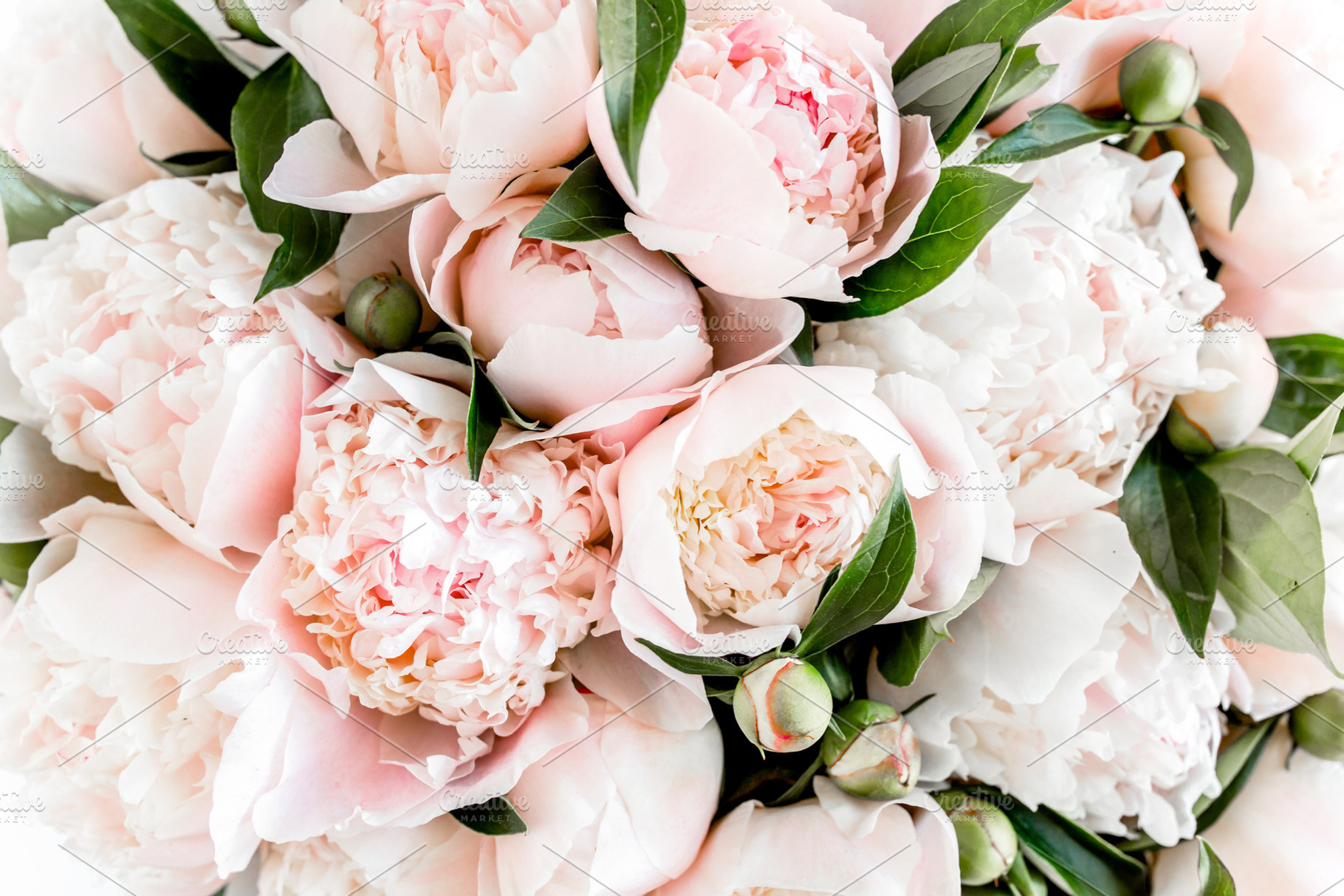 Bouquet of peonies., a Beauty & Fashion Photo by K.Decor
