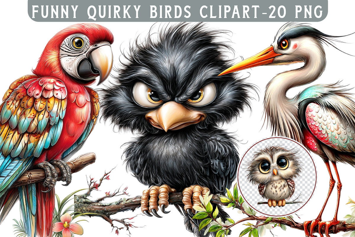 Funny Quirky Birds Clipart, an Illustration by Libby Wishes (Photo 1 of 6)