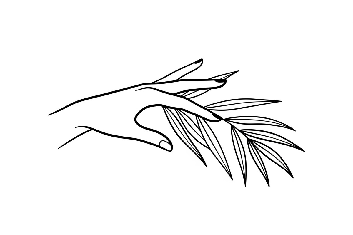 Hand Plant Growth Bundle, an Illustration by yasushie (Photo 31 of 31)