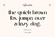 Quessera Font, a Sans Serif Font by Oui Studio (Thumbnail 5 of 21)