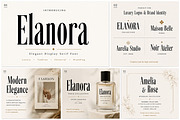 Elanora, a Serif Font by Wow Magic (Thumbnail 3 of 4)