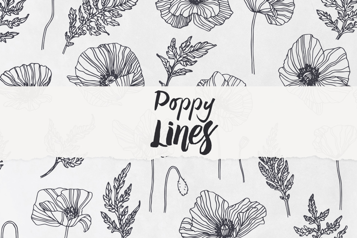 Poppy Lines, an Illustration by Petite Salade (Photo 1 of 2)