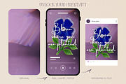 Divine Prism Video Bundle, a Social Media Template by The Flossy Finch (Thumbnail 19 of 21)