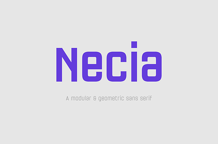 Necia Font Family, a Sans Serif Font by Graviton Font Foundry