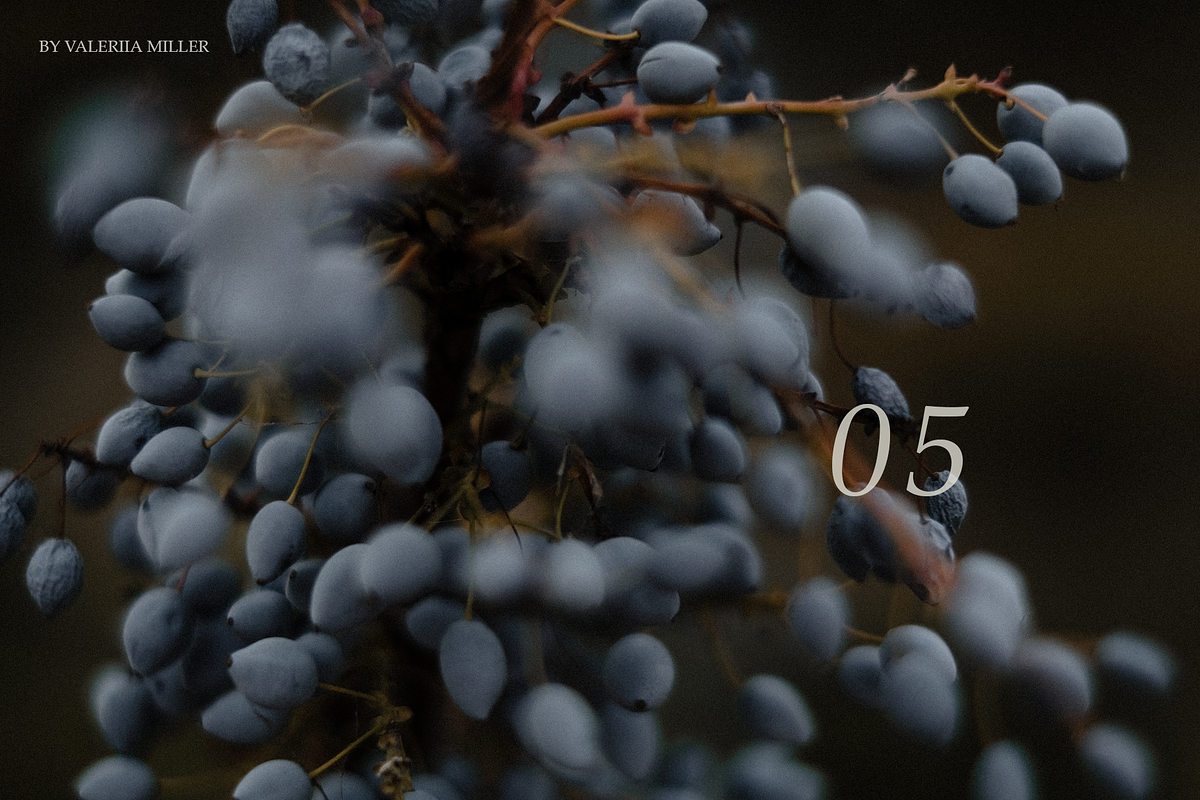 RUSTIC SUMMER (5 BACKGROUNDS), a Nature Photo by Valeriia Miller (Photo 10 of 11)