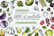 Vegetables vector sketch watercolor, a Food Illustration by irina.vaneeva (Thumbnail 1 of 18)