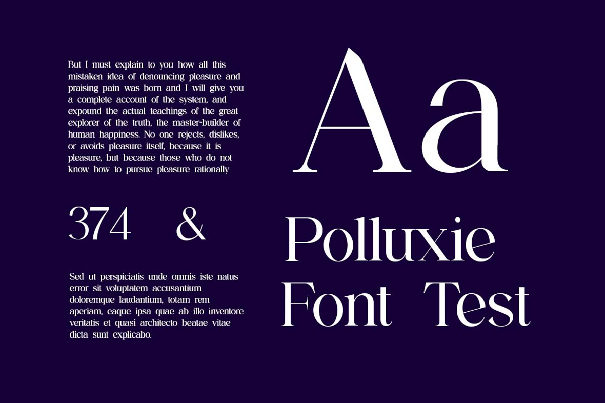 Backswings Modern Serif Family Font, a Serif Font by UICreative (Photo 13 of 13)
