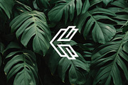 C Lettermarks Collection, a Branding & Logo Template by Musafeer Studio (Thumbnail 4 of 9)
