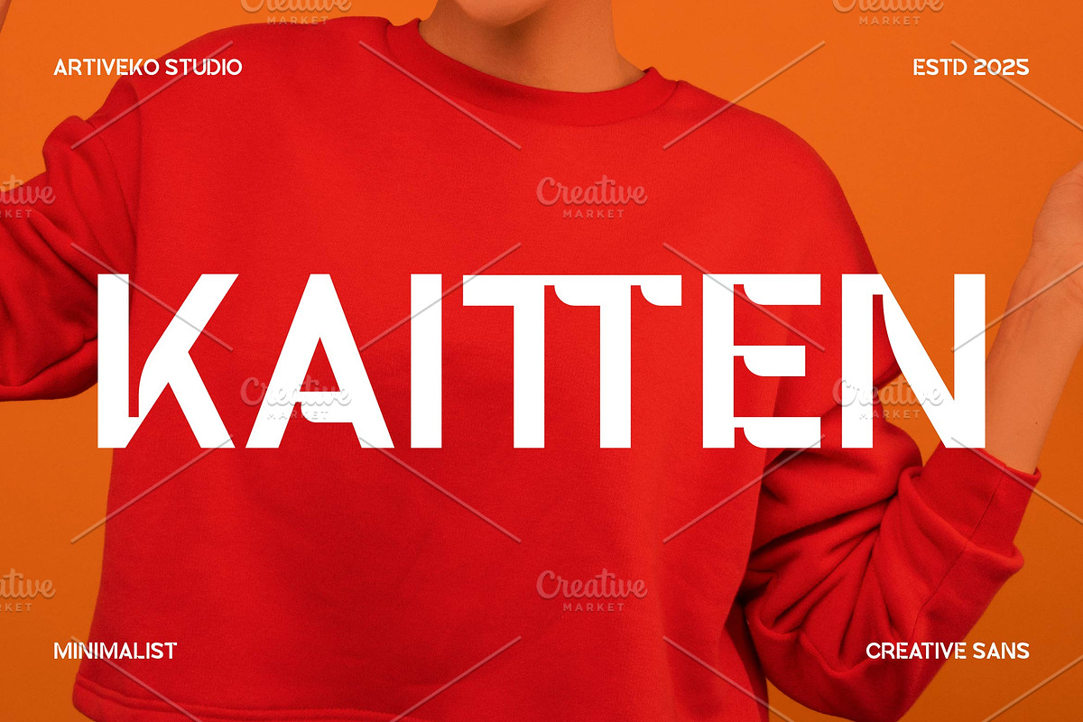 Kaitten Modern Sans Font, a Sans Serif Font by Artiveko (Photo 1 of 8)