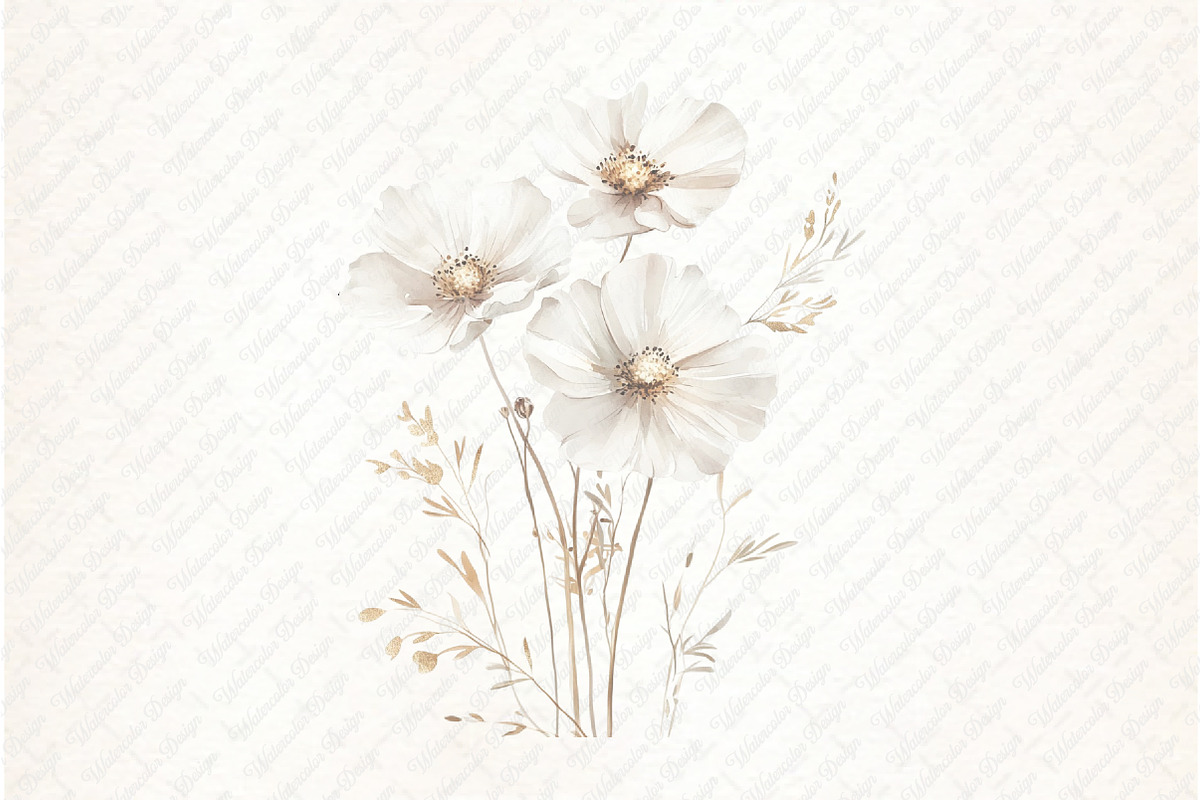 White Floral Clipart, an Illustration by Watercolor design (Photo 11 of 12)