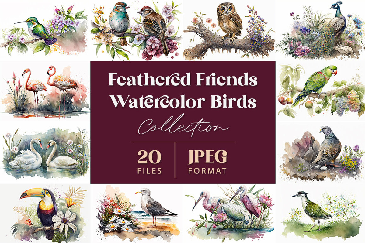 Feathered Friends Collection, an Animal Illustration by artsy-fartsy (Photo 1 of 6)