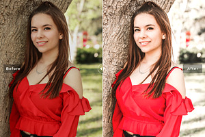 Carnation Pro Lightroom Presets