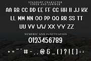 Bulky Body, a Script Font by FreshTypeINK (Thumbnail 4 of 7)