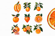 Watercolor Orange Fruit's Clipart PN, an Illustration by Libby Wishes (Thumbnail 3 of 4)