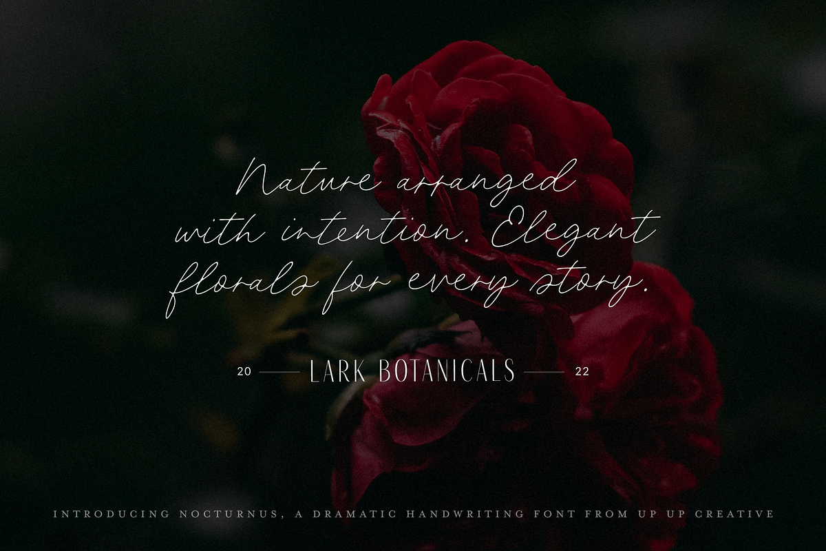 Nocturnus Handwritten Script Font, a Script Font by Up Up Creative (Photo 15 of 15)